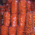 2016 naturaleza zanahorias frescas